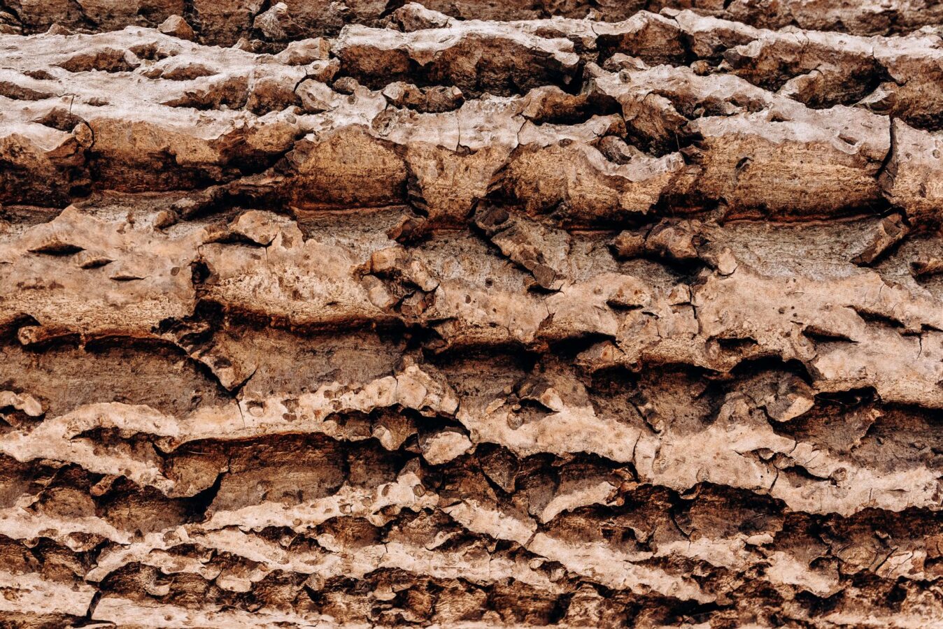 tire sidewall cracking close up